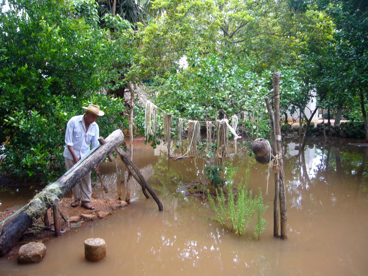 huerto maya