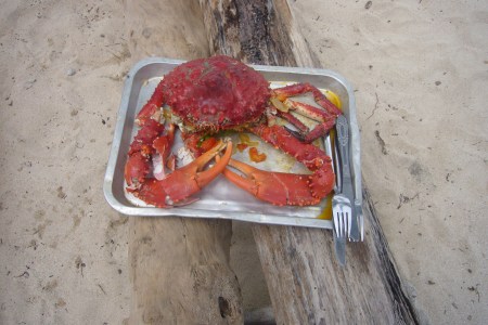 centollo guna yala ¿El centollo más sabroso de nuestras vidas?