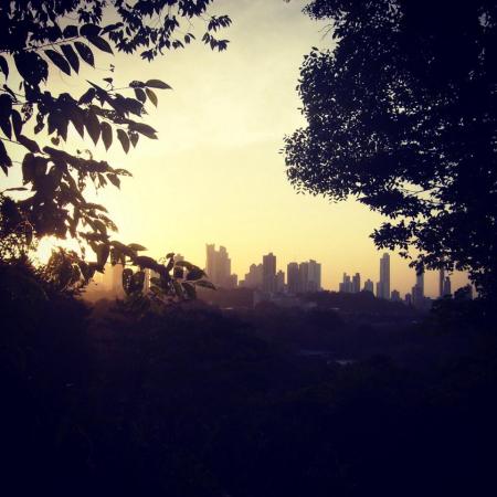 Vista de Panamá desde el Parque Metropolitano.