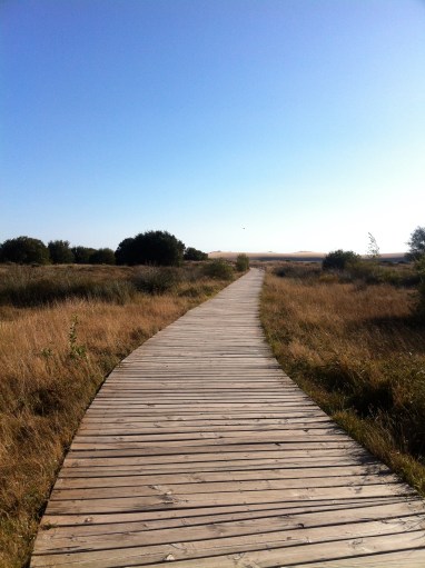 camino a la duna de corrubedo