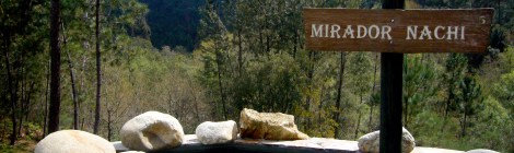 Termas de prexigueiro