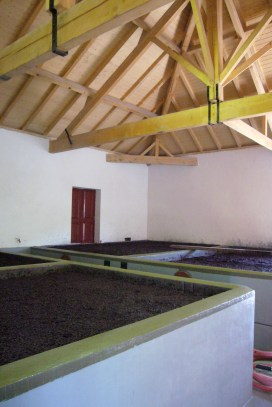 cubas de vino fermentando