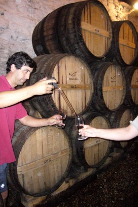 joao alves, enologo de la quinta do tedo