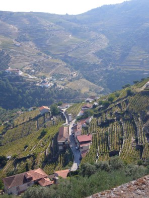 viñedos del douro