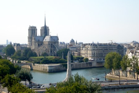 Notre Dame desde la azotea del IMA