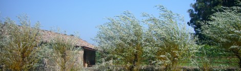 ruta da pedra e da auga en armenteira