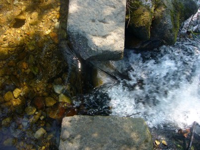 Piedra y agua en el río Armenteira
