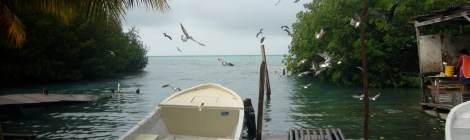 Donde hay pájaros hay pescado. Uno de los muelles de Cayo Caulker