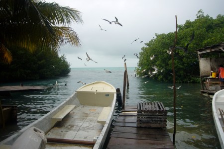 Donde hay pájaros hay pescado. Uno de los muelles de Cayo Caulker