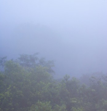 Vistas de Tikal al amanecer desde la cima del templo IV