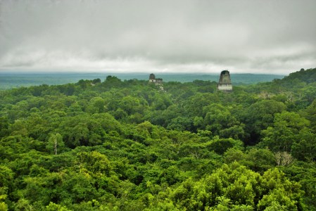Vistas desde la cima del templo IV. En el centro de la imagen los dos templos de la Gran Plaza. A la derecha el templo V
