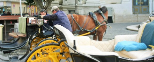 Calesas y caleseros enfrente de la catedral de Sevilla Calesas y caleseros enfrente de la catedral de Sevilla