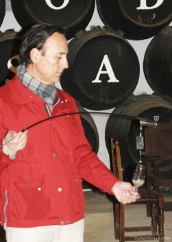 Rafael Salado, en sus bodegas dándonos a catar uno de sus vinos, durante la visita guiada a la bodega.