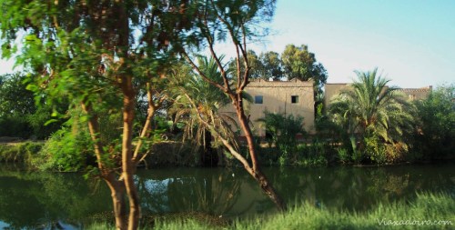 Paisaje del Nilo desde el autobús, una de las primeras imágenes que tuvimos de Egipto de día