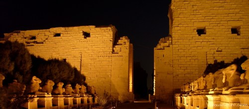 Carneros flanqueando la entrada del templo de Karnak Carneros flanqueando la entrada del templo de Karnak
