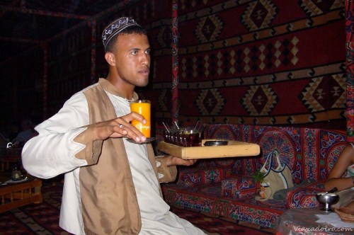 mucho mejor que hacer cola para ver un cocodrilo momificado.