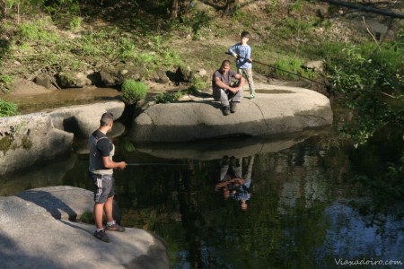 Río Avia a su paso por Ribadavia